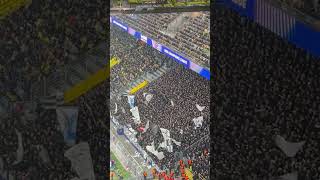 Sturm Graz Fans in Dortmund 05112024 [upl. by Melleta]