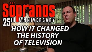 The Sopranos 25th Anniversary  How It Changed Television History  Soprano Theories [upl. by Bloch658]