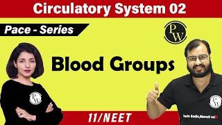 Circulatory System 02  Blood Groups  Class 11 NEET  PACE SERIES [upl. by Selby]