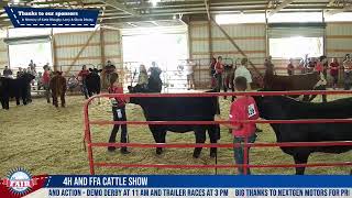 Muscatine County Fair  Cattle Show  LIVE [upl. by Eckhardt]