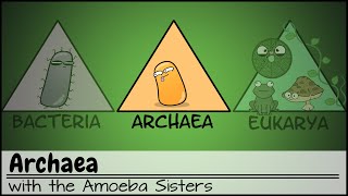 Archaea [upl. by Turoff760]