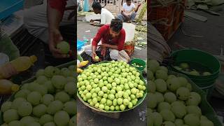 Mouth Watering Very Tasty Spicy Guava Chat In Kolkata shorts [upl. by Torrie]