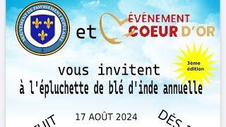 Évènement du 17 août 2024 à Sherbrooke organisé par le mouvement de pavoisement populaire [upl. by Anele]