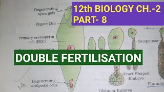 Class 12 biology chapter2 Part8  Double fertilisation Study with Farru [upl. by Hgieleak]