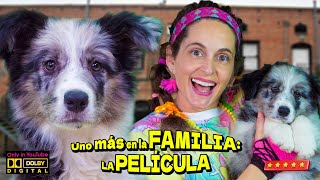 UNO MAS EN LA FAMILIA 🐶🐶🐶 LA PELICULA de un cachorro muy divertido [upl. by Hudgens]