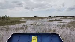 Airboat in Everglades Florida [upl. by Annaitat655]