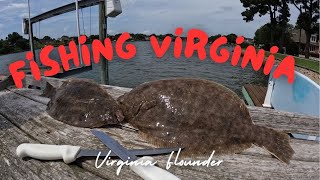 SLAYING FLOUNDER Fishing Virginia [upl. by Oilut]