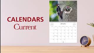 Current Wall Calendars [upl. by Idnaj]