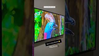 Sony Bravia 2 Tv 2024 [upl. by Cob]