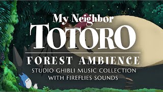 quotMy Neighbor Totoroquot Forest Ambience Studio Ghibli Music Collection amp Fireflies Sounds  1 Hour [upl. by Krystyna514]