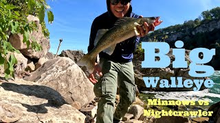 Minnows and Nightcrawler for Walleye [upl. by Ibed]