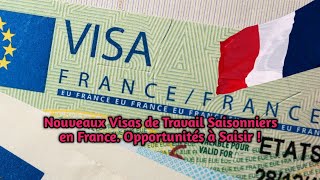 Nouveaux Visas de Travail Saisonniers en France Opportunités à Saisir [upl. by Eizdnil]