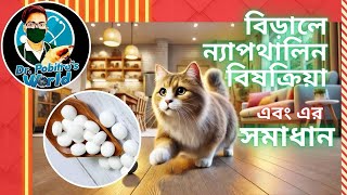 বিড়ালের ন্যাপথালিন বিষক্রিয়া লক্ষণ ও চিকিৎসা  Naphthalene Toxicity in Cats  Dr Pobitro [upl. by Gnous]