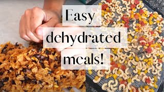 Quick Dehydrated Meals  Prepper Food made in Your Own Kitchen  DIY Camping Food [upl. by Erialb915]