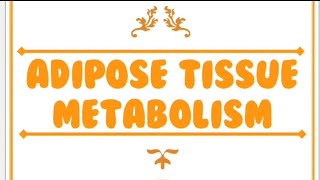 Lecture 2  Adipose tissue metabolism  Dr Abdelrahman Elhoseny [upl. by Notsuoh314]