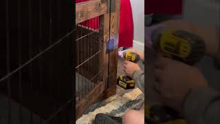 Securing Your DIY Dog Kennel Installing Hinges and Locks Tutorial [upl. by Vanny323]