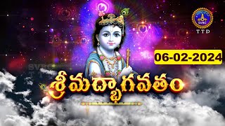 శ్రీమద్భాగవతం  Srimad Bhagavatham  Kuppa Viswanadha Sarma  Tirumala  06022024  SVBC TTD [upl. by Nealy]