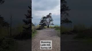 Stunning Leith Hill Surrey UK music soul nature treehugger viewpoint [upl. by Mendoza356]