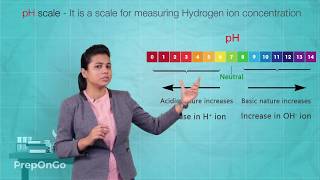 Acids Bases and Salts  9  Strength of Acids and Bases  CBSE Class 10 [upl. by Gupta]