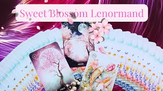 🌸 Sweet Blossom Lenormand 🌸 Flipthrough  Sakura Tarot [upl. by Dorahs506]