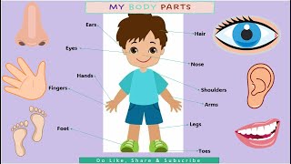 Kids vocabulary  Body  parts of the body  Learn English for kids  English educational video [upl. by Leon]