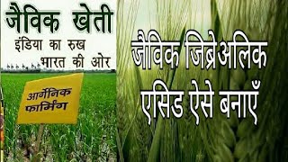 जैविक जिब्रेअलिक एसिड हॉर्मोन।Orgenic Gibberellic acid plants hormone [upl. by Jenks465]