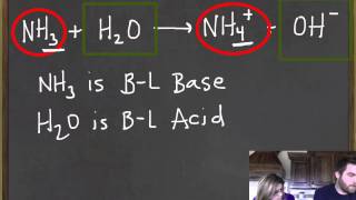 BronstedLowry Acids and Bases [upl. by Glantz]