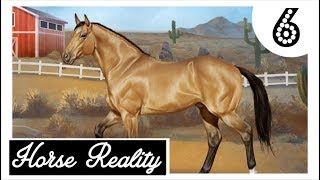 Horse Reality HR Vom Fohlen zum Deckhengst 🐴  Lets Play 6 DEUTSCH [upl. by Whitnell]