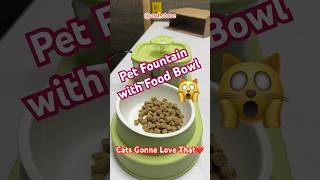 Pet fountain with bowl available at avfstore  Delivery Available all over Pakistan [upl. by Canter195]