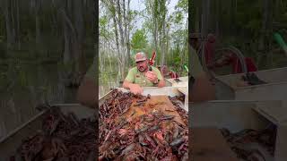 🦞 FISH IN THE CRAWFISH PONDS [upl. by Meier]