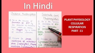 Difference between oxidative phosphorylation and substrate level phosphorylation  in hindi [upl. by Rowena511]