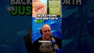 The Candiru Fish Every Guys Ultimate Nightmare  JRE joerogan jre scarystories animalfacts [upl. by Norym]