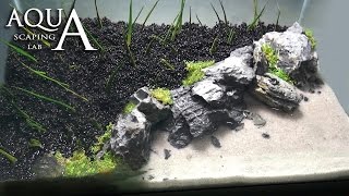 Aquascaping Lab  Tutorial Iwagumi Aquarium quotDesert Island Beachquot size 40x25x25H 25L rocks plants [upl. by Merv269]