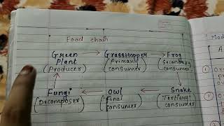 Mode of Nutrition Difference between Autotrophic nutrition amp Heterotrophic nutrition explain [upl. by Nylssej]