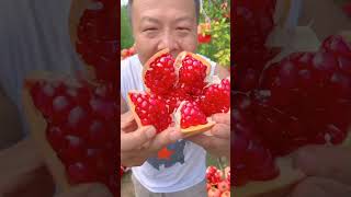 Rambutan fruit 🍒 Sweet amp Sour Sinhalese Fruit Dishes  china Food  Nature [upl. by Morganica]