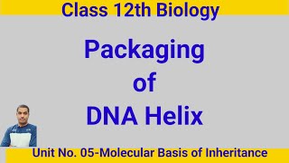 Packaging of DNA HelixDr NYR [upl. by Asin]