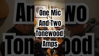 Not a paid ad or anything We just love these things ❤️ ToneWoodAmpMagic tonewoodamp guitar [upl. by Eachern]