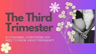 The Third Trimester [upl. by Aset]