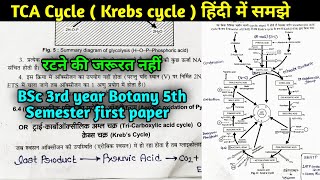 Krebs cycle in Hindi  TCA cycle in Hindi  Citric acid Cycle  BSc 3rd year Botany 5th semester [upl. by Adnawuj]