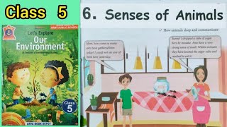 SENSES OF ANIMALS  Class 5 Chapter 5   Lets explore our environment  EVS APS [upl. by Herodias]