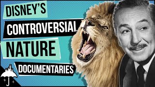 Disneys True Life Adventure Nature Documentary Films Explained [upl. by Auqinet]