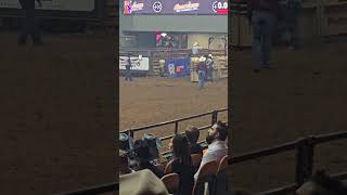 Steer wrestling Fort Worth 1124 [upl. by Suez]