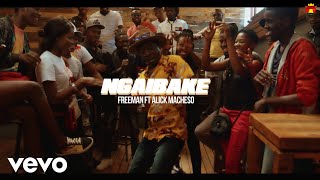 Freeman  Ngaibake Official Video ft Alick Macheso [upl. by Elleira759]