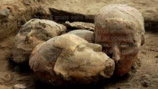 9500 yrs AgoMajor Discovery of Faces of Ancient Caucasians [upl. by Saks]