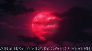 Ainsi Bas la vida slowed  reverb [upl. by Aehta]