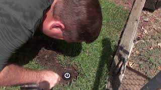 Replacing 4quot Rain Bird RVAN With 1800 Sprinkler Head [upl. by Dyane]