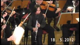 Carl Stamitz Clarinet Concerto No 3  3Rondo [upl. by Ydnir]