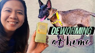 HOW TO USE PYRANTEL EMBONATE NEMATOCIDE TO DEWORM A DOG AT HOME  EASY DIY DOG DEWORMING PURGA [upl. by Sidnak]