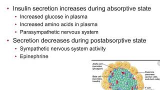 Physiology Chapter 21 part 2 of 3 [upl. by Gundry304]