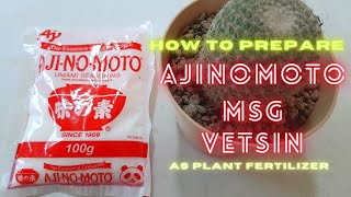 How To Prepare MSG Vetsin Ajinomoto As Plant Fertilizer [upl. by Limber748]